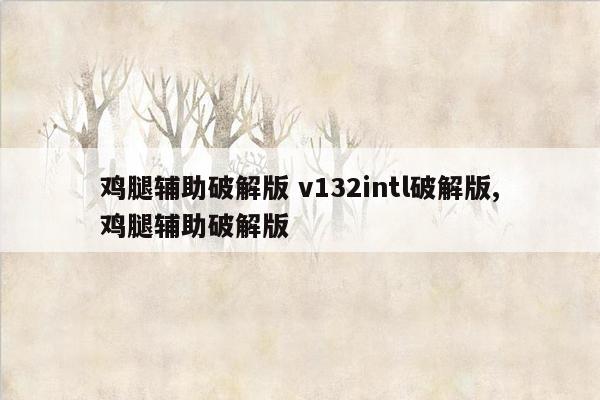 鸡腿辅助破解版 v132intl破解版,鸡腿辅助破解版