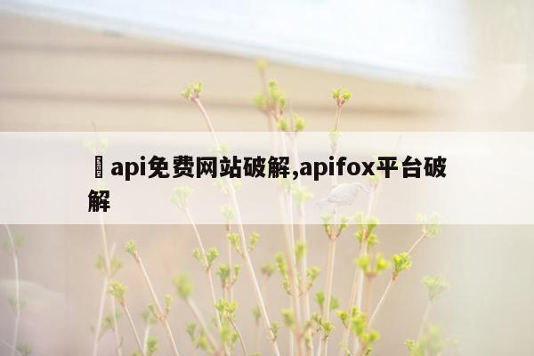 汅api免费网站破解,apifox平台破解