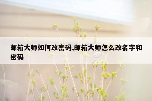 邮箱大师如何改密码,邮箱大师怎么改名字和密码