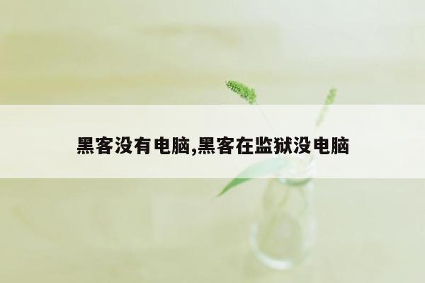 黑客没有电脑,黑客在监狱没电脑