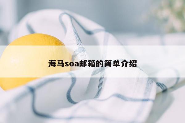 海马soa邮箱的简单介绍