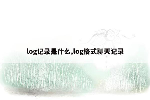 log记录是什么,log格式聊天记录