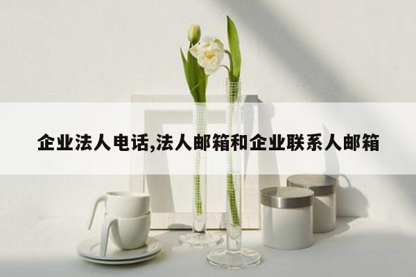 企业法人电话,法人邮箱和企业联系人邮箱