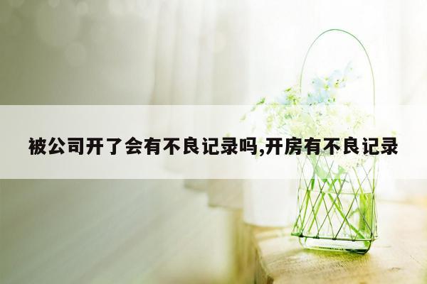 被公司开了会有不良记录吗,开房有不良记录