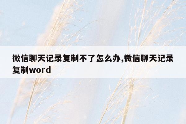 微信聊天记录复制不了怎么办,微信聊天记录复制word