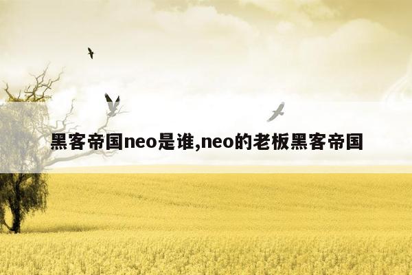 黑客帝国neo是谁,neo的老板黑客帝国