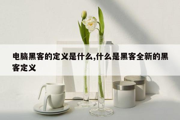 电脑黑客的定义是什么,什么是黑客全新的黑客定义