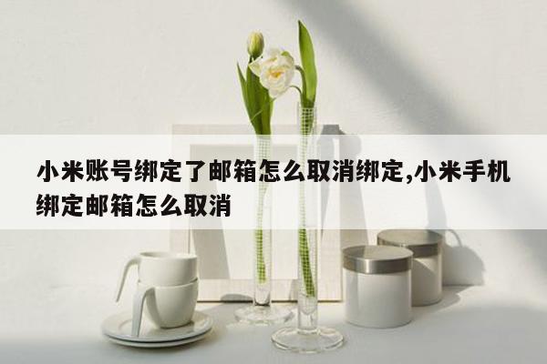 小米账号绑定了邮箱怎么取消绑定,小米手机绑定邮箱怎么取消