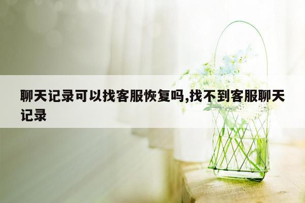 聊天记录可以找客服恢复吗,找不到客服聊天记录