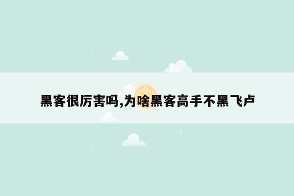 黑客很厉害吗,为啥黑客高手不黑飞卢