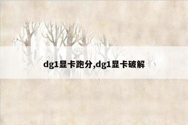 dg1显卡跑分,dg1显卡破解