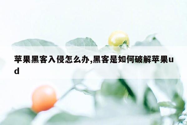 苹果黑客入侵怎么办,黑客是如何破解苹果ud