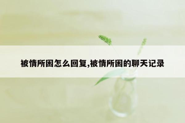 被情所困怎么回复,被情所困的聊天记录