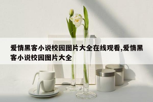 爱情黑客小说校园图片大全在线观看,爱情黑客小说校园图片大全