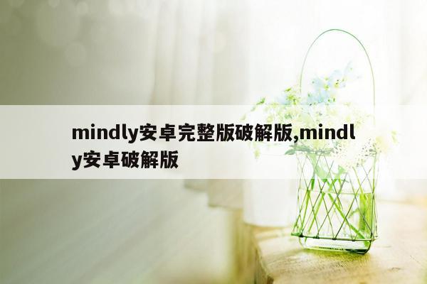 mindly安卓完整版破解版,mindly安卓破解版