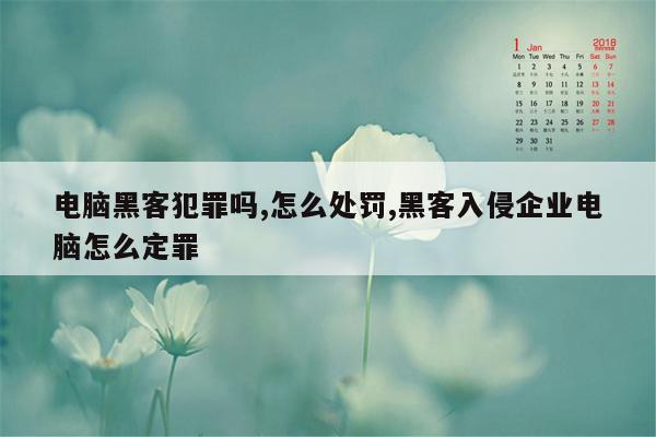 电脑黑客犯罪吗,怎么处罚,黑客入侵企业电脑怎么定罪