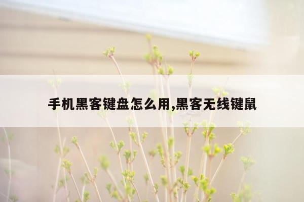 手机黑客键盘怎么用,黑客无线键鼠