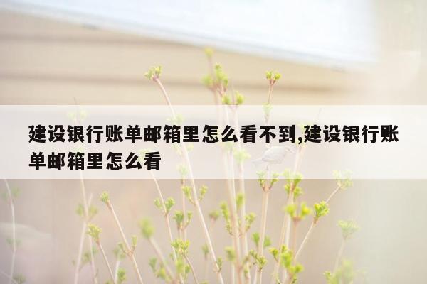 建设银行账单邮箱里怎么看不到,建设银行账单邮箱里怎么看