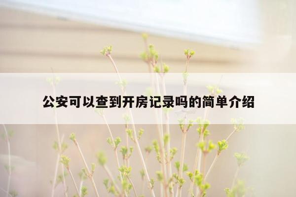 公安可以查到开房记录吗的简单介绍