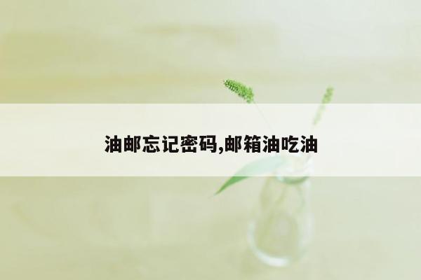 油邮忘记密码,邮箱油吃油