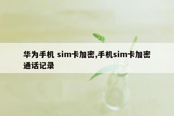 华为手机 sim卡加密,手机sim卡加密通话记录