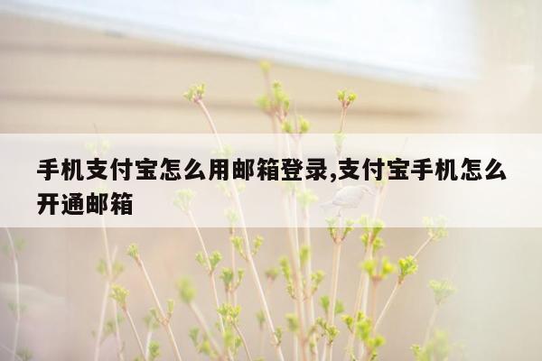 手机支付宝怎么用邮箱登录,支付宝手机怎么开通邮箱