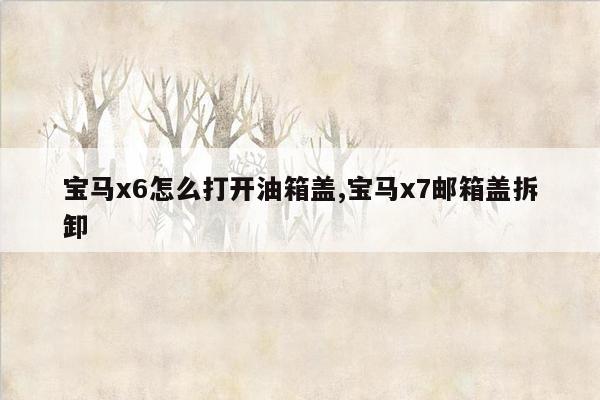 宝马x6怎么打开油箱盖,宝马x7邮箱盖拆卸