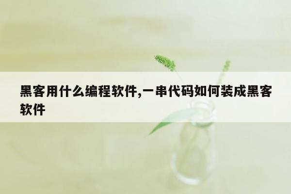 黑客用什么编程软件,一串代码如何装成黑客软件