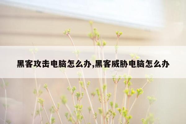 黑客攻击电脑怎么办,黑客威胁电脑怎么办