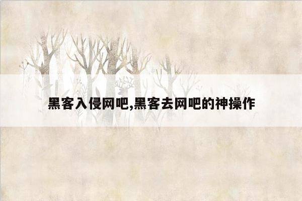 黑客入侵网吧,黑客去网吧的神操作