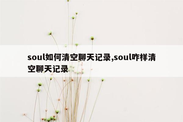 soul如何清空聊天记录,soul咋样清空聊天记录