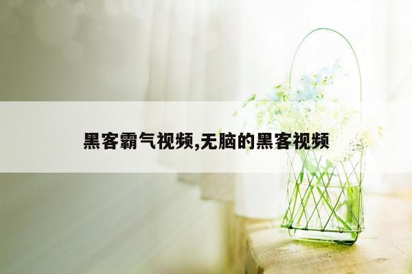 黑客霸气视频,无脑的黑客视频