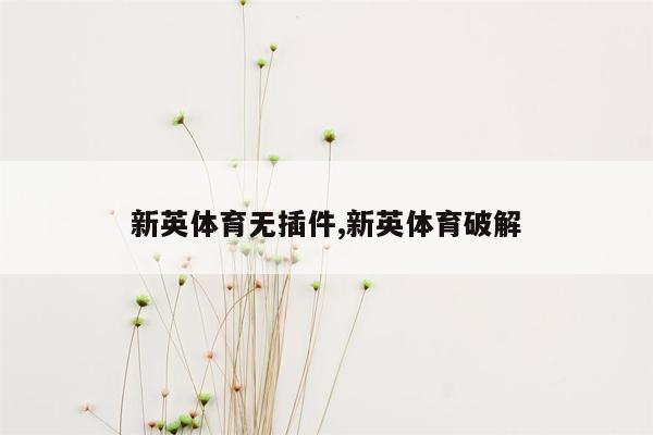 新英体育无插件,新英体育破解