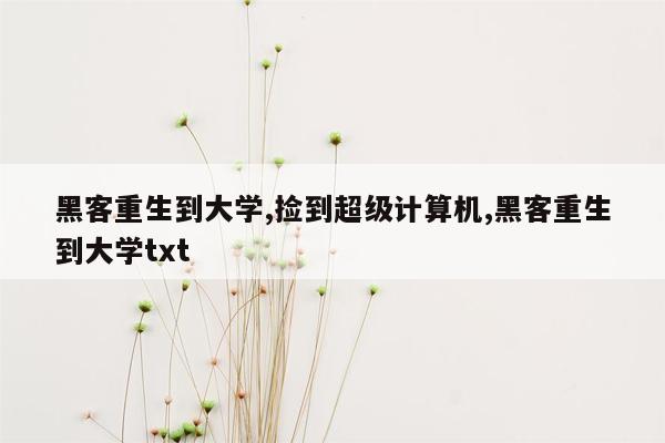 黑客重生到大学,捡到超级计算机,黑客重生到大学txt