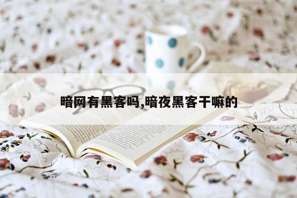 暗网有黑客吗,暗夜黑客干嘛的