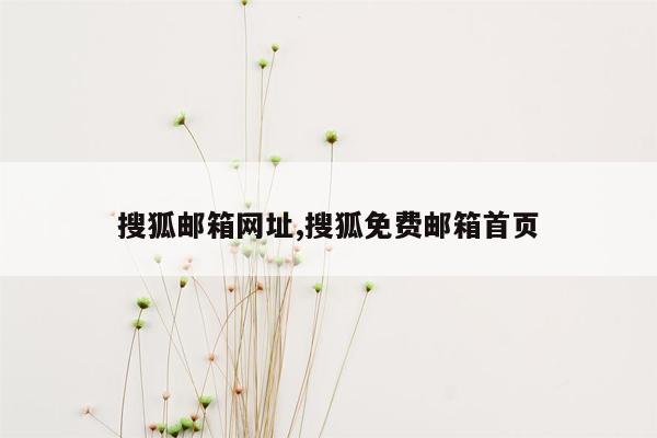 搜狐邮箱网址,搜狐免费邮箱首页