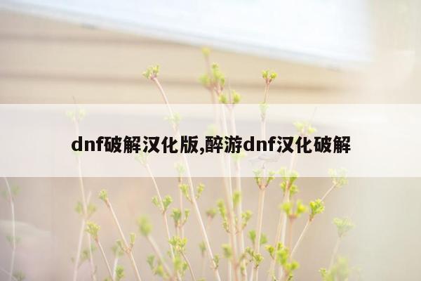 dnf破解汉化版,醉游dnf汉化破解