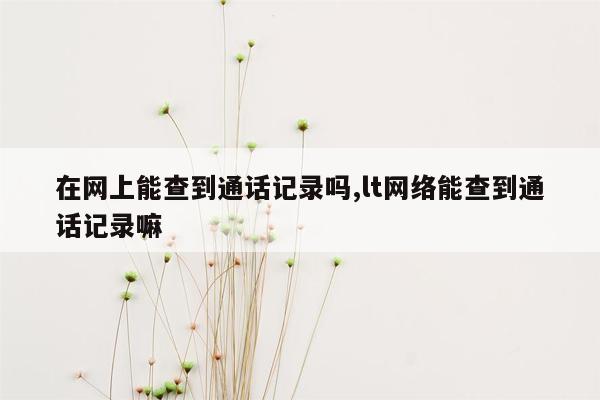 在网上能查到通话记录吗,lt网络能查到通话记录嘛