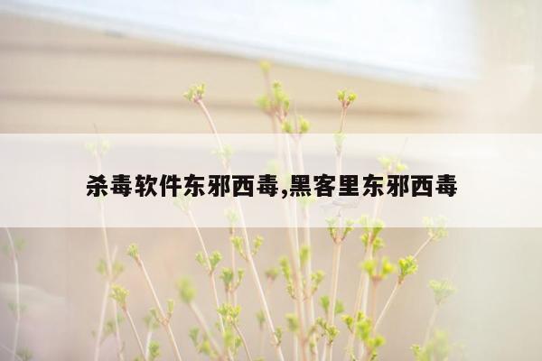 杀毒软件东邪西毒,黑客里东邪西毒