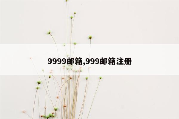 9999邮箱,999邮箱注册