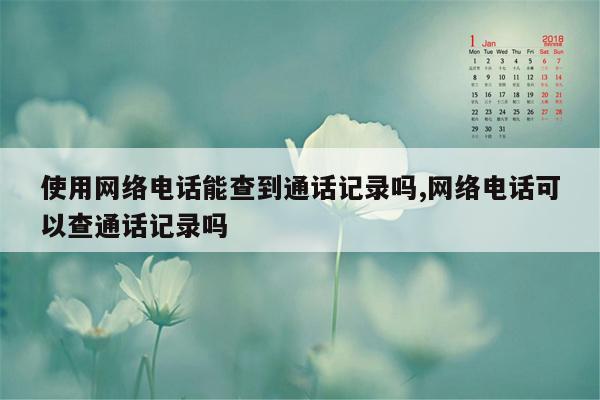 使用网络电话能查到通话记录吗,网络电话可以查通话记录吗