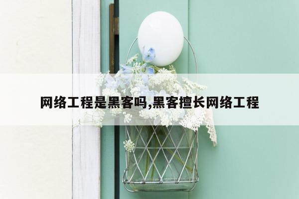 网络工程是黑客吗,黑客擅长网络工程