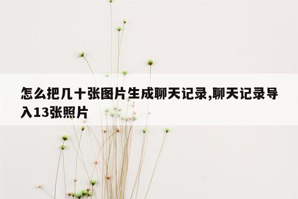 怎么把几十张图片生成聊天记录,聊天记录导入13张照片