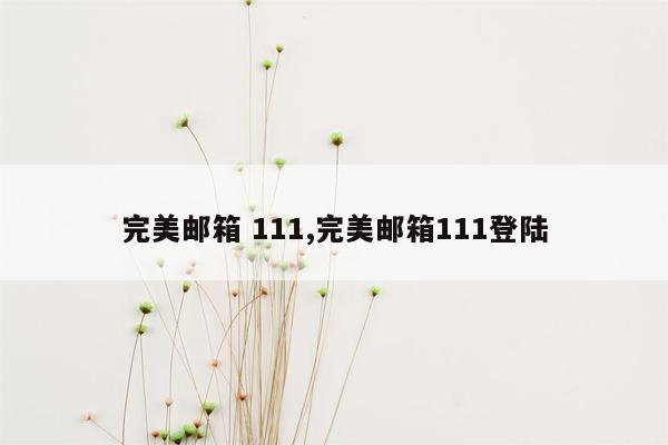 完美邮箱 111,完美邮箱111登陆