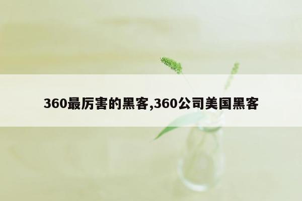 360最厉害的黑客,360公司美国黑客