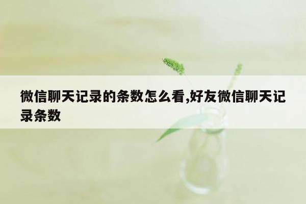 微信聊天记录的条数怎么看,好友微信聊天记录条数