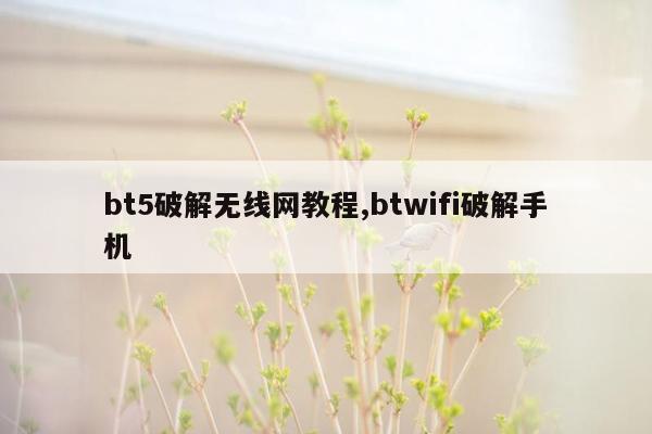 bt5破解无线网教程,btwifi破解手机