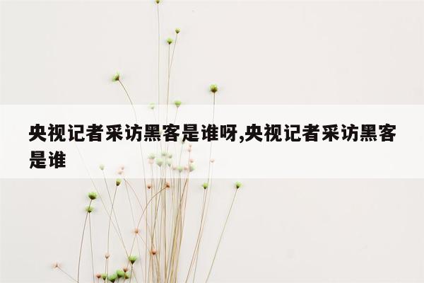 央视记者采访黑客是谁呀,央视记者采访黑客是谁