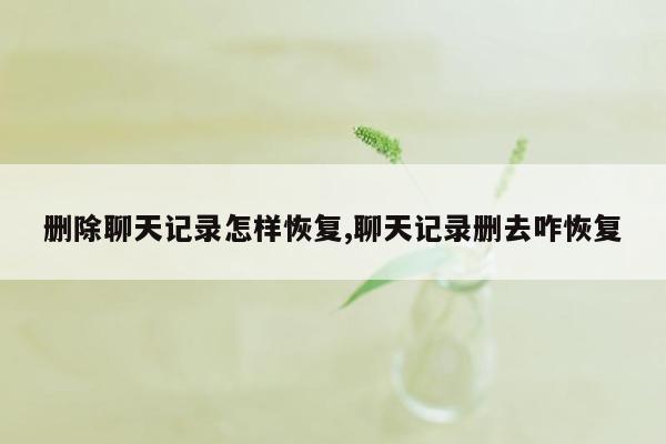 删除聊天记录怎样恢复,聊天记录删去咋恢复