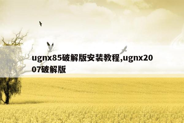 ugnx85破解版安装教程,ugnx2007破解版